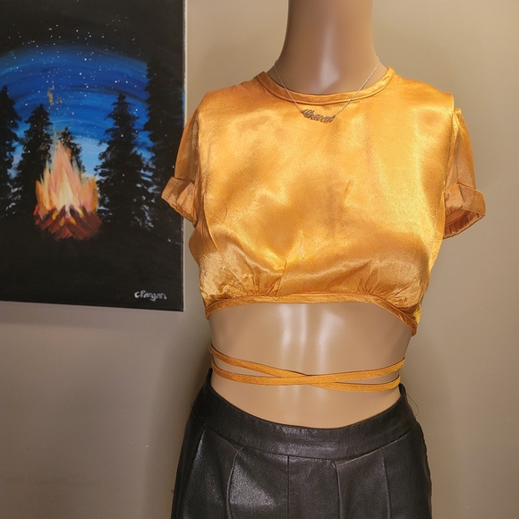 Bardot Tops - Bardot Satin Croptop